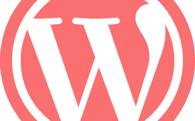 WordPress vs. Custom Web Design: What’s Best for Fort Lauderdale?